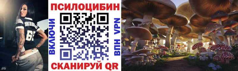 гидра зеркало  где можно купить   Долгопрудный  Галлюциногенные грибы Psilocybine cubensis 