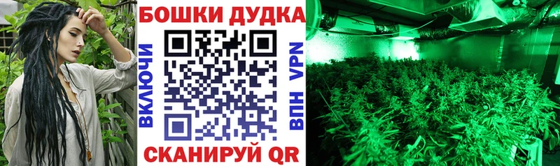 Бошки марихуана ГИДРОПОН Долгопрудный